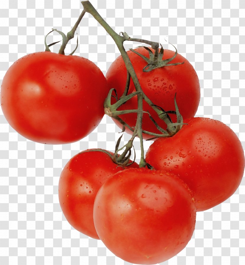 Tomato - Cherry Tomatoes - Plum Transparent PNG