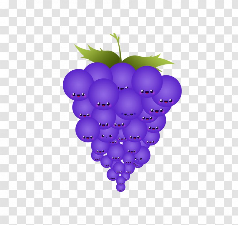 Common Grape Vine Fruit Wine - Vitis Transparent PNG
