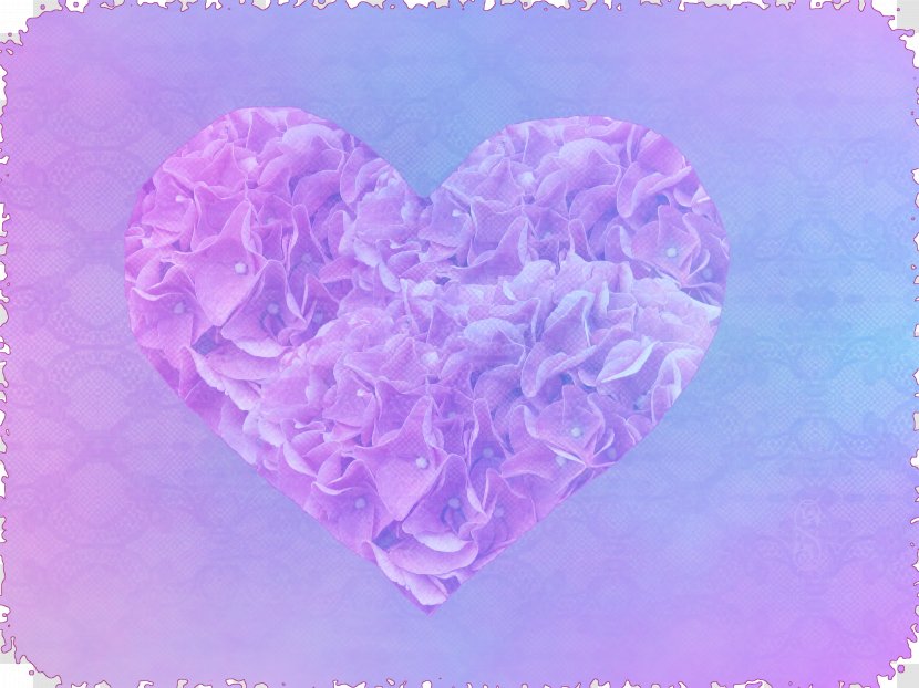 Purple Emotion Feeling Love Heart - Rose Family - Heart-shaped Streamers Transparent PNG