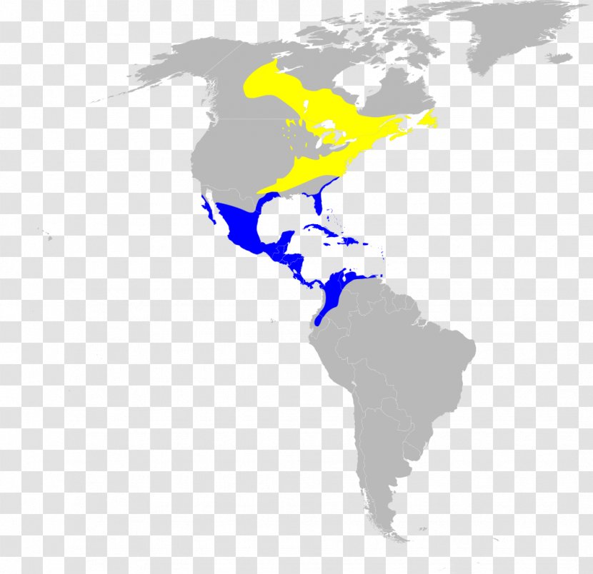 United States Latin America World Map - Varia Transparent PNG