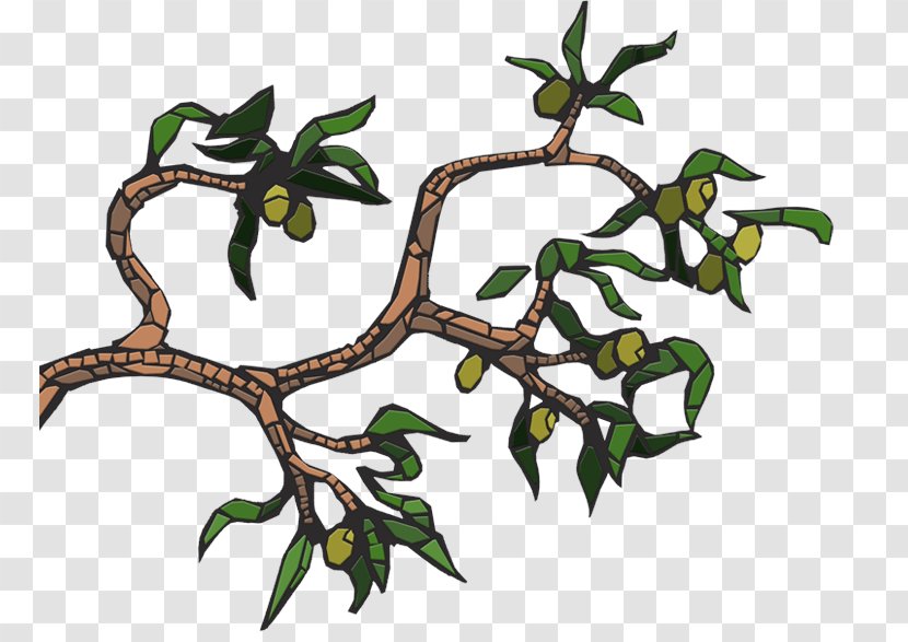 Olive Tree Clip Art - Flowering Plant - Leaves Transparent PNG