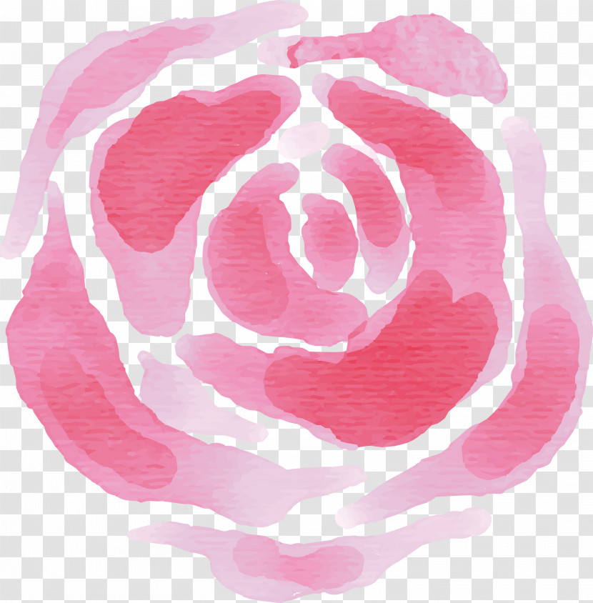 Rose Transparent PNG