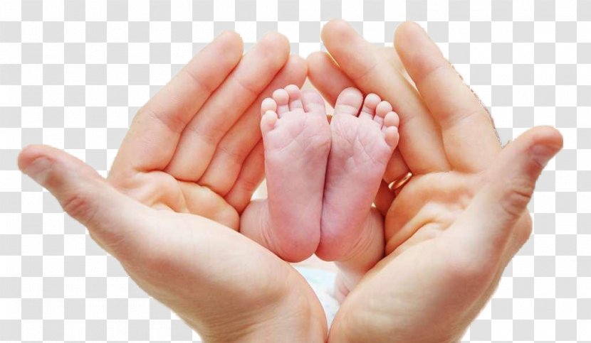 Foot Neonate Infant Hand Mother - Model - Child's Holding The Transparent PNG