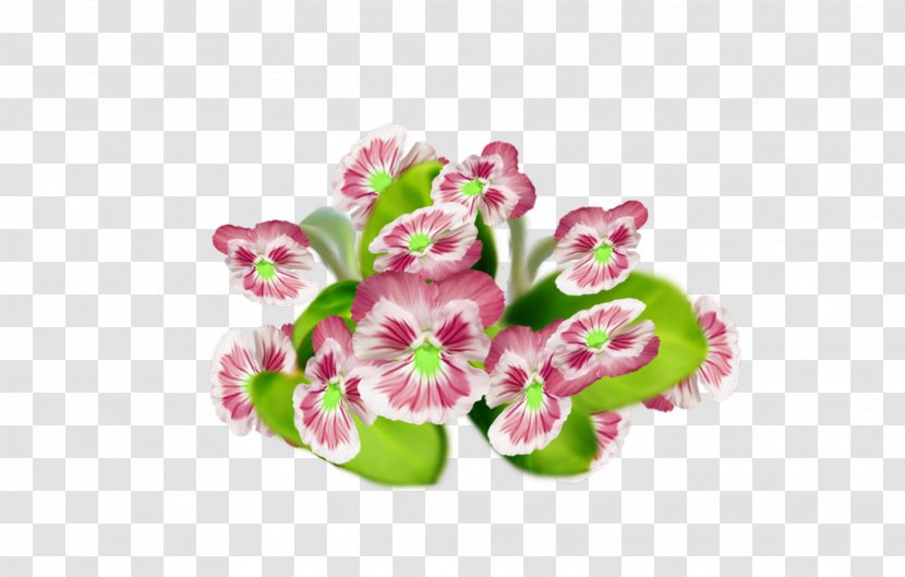 Flower Pink Plant Flowering Violet - Family - Cut Flowers Transparent PNG
