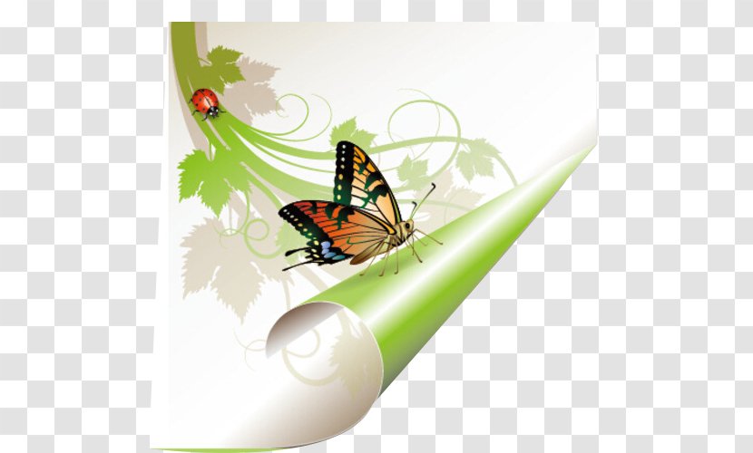 English Grammar Illustration - Shutterstock - Insect Angle Transparent PNG