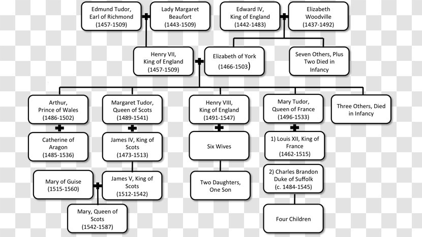 Document Line Angle Pattern - Rectangle - Henry Viii Family Tree Transparent PNG