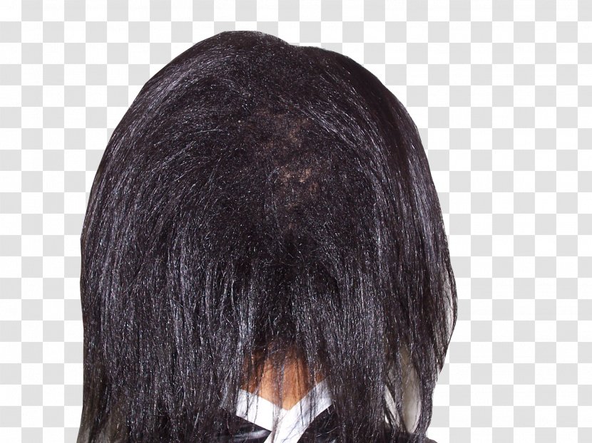 Wig Homo Sapiens - Ladies Crown Transparent PNG