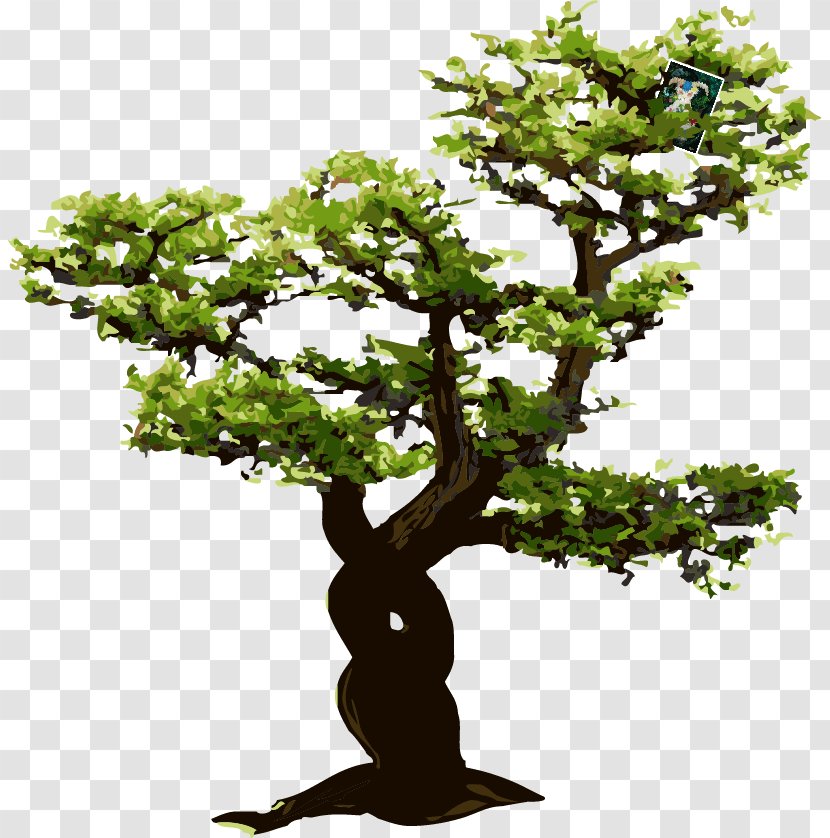 Euclidean Vector Tree - Branch Transparent PNG