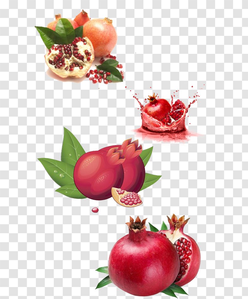 Pomegranate Fruit Food - Apple Transparent PNG