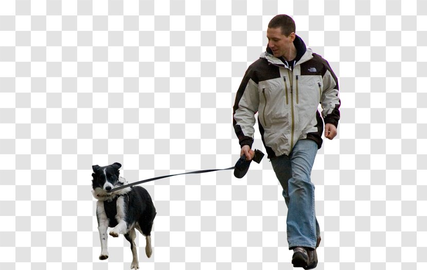 Dog Walking Pet Sitting Breed Shar Pei - Leash Transparent PNG