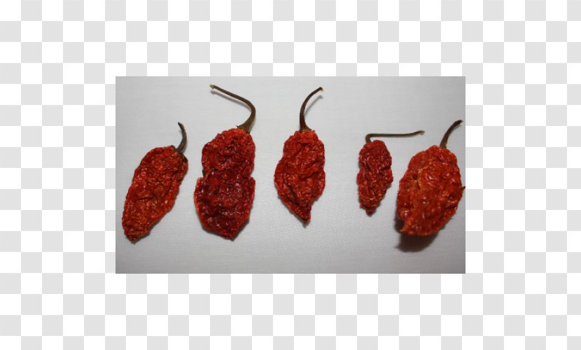 Chili Pepper Bhut Jolokia Pasilla Capsicum Annuum Indian Cuisine - Recipe - Spice Transparent PNG