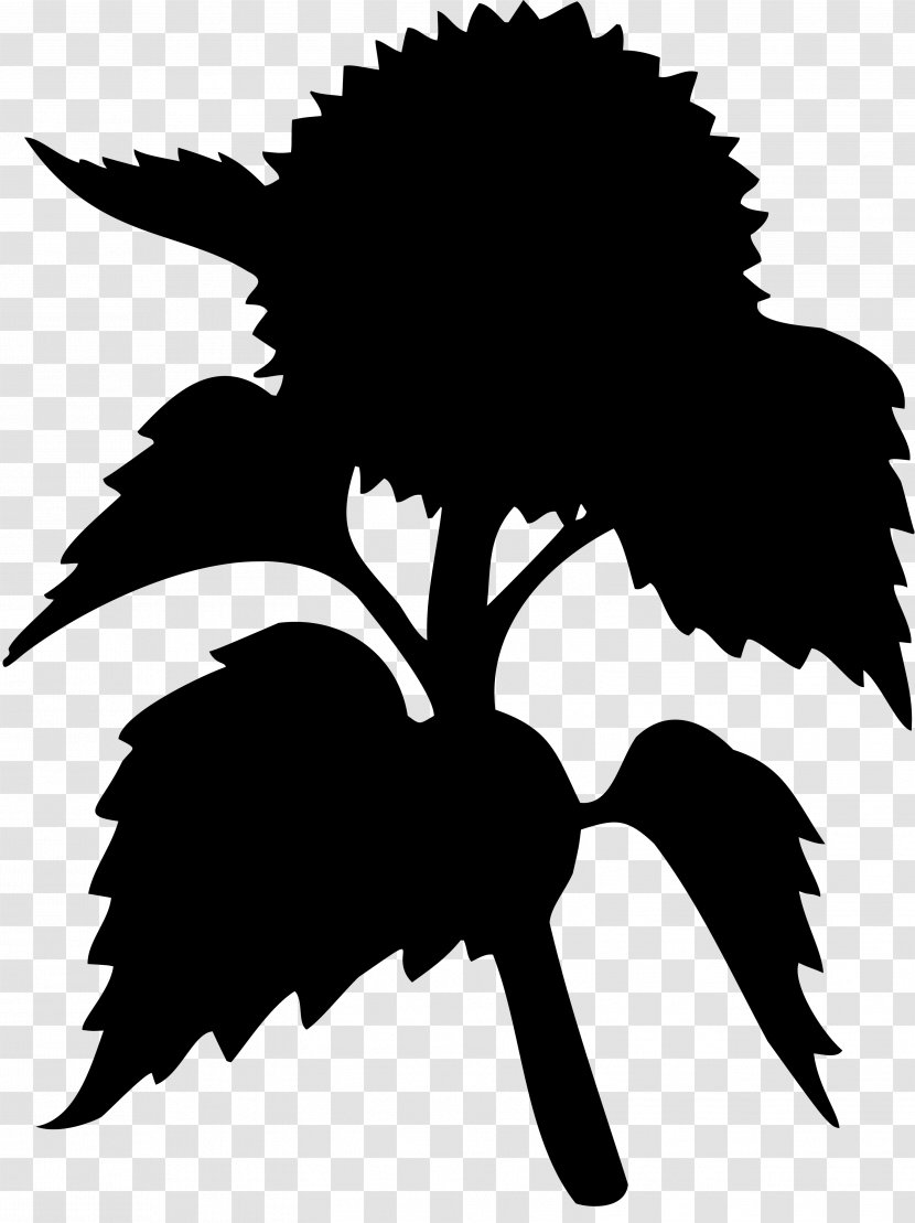 Clip Art Character Flower Silhouette Leaf - Blackandwhite Transparent PNG