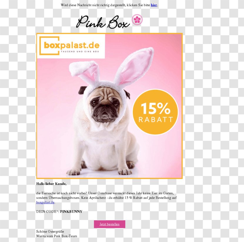 Pug Easter Bunny Puppy Dog Breed - Love - Fall Discounts Transparent PNG