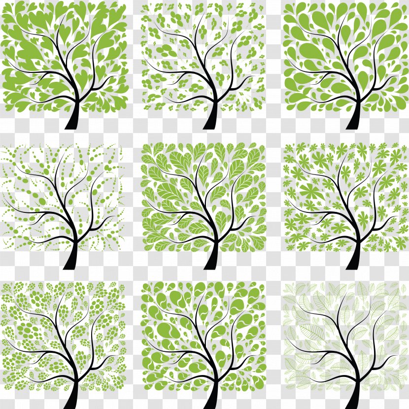 Photography Tree Clip Art - Banco De Imagens - Of Life Transparent PNG