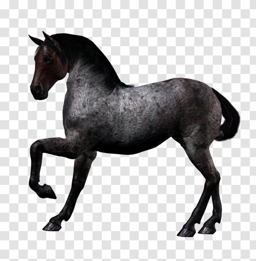 American Quarter Horse Howrse Fantasy Unicorn - Black - Image Transparent PNG