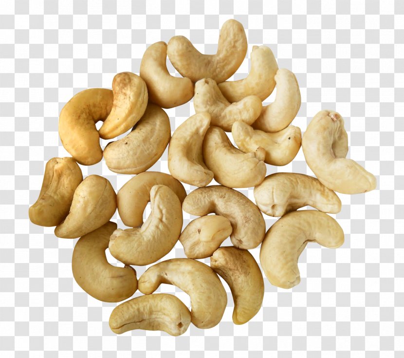 Nut Cashew Bean Transparent PNG
