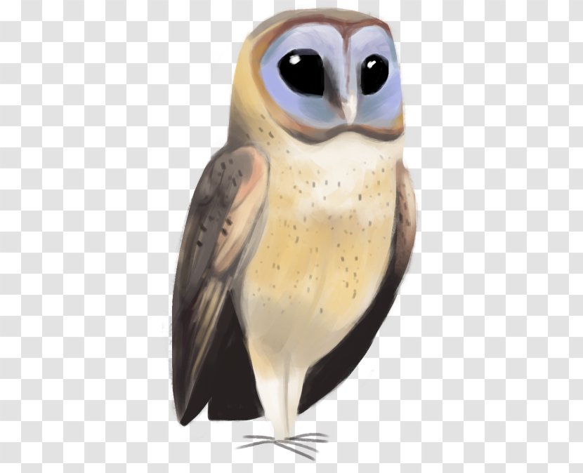 Owl Beak Transparent PNG