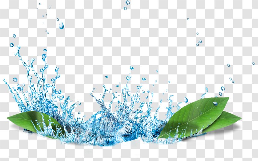 Cosmetics Industry Drinking Water - Blue Transparent PNG