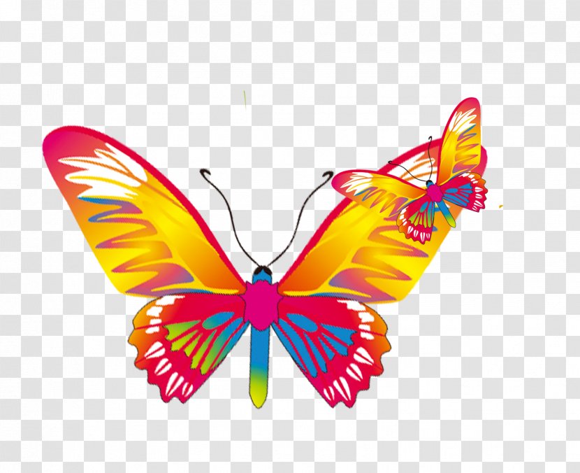 Monarch Butterfly - Rgb Color Model - Cartoon Material Transparent PNG