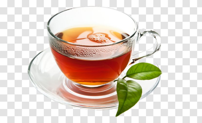 Green Tea Bubble Mate Assam - Coffee Cup Transparent PNG