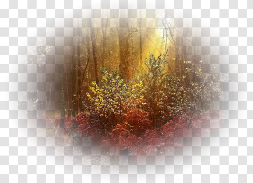 Nature Landscape Autumn Painting Fairy Tale - Still Life Transparent PNG