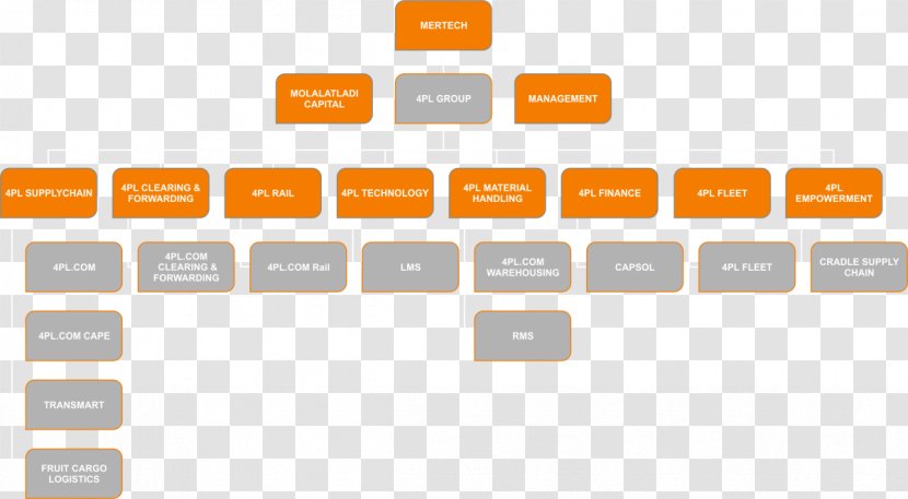 Organizational Chart Supply Chain Management Logistics - Distribution - Business Transparent PNG