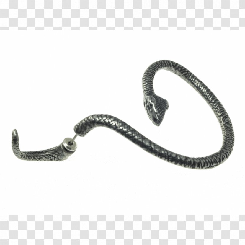 Earring Snake Bracelet Jewellery Silver Transparent PNG