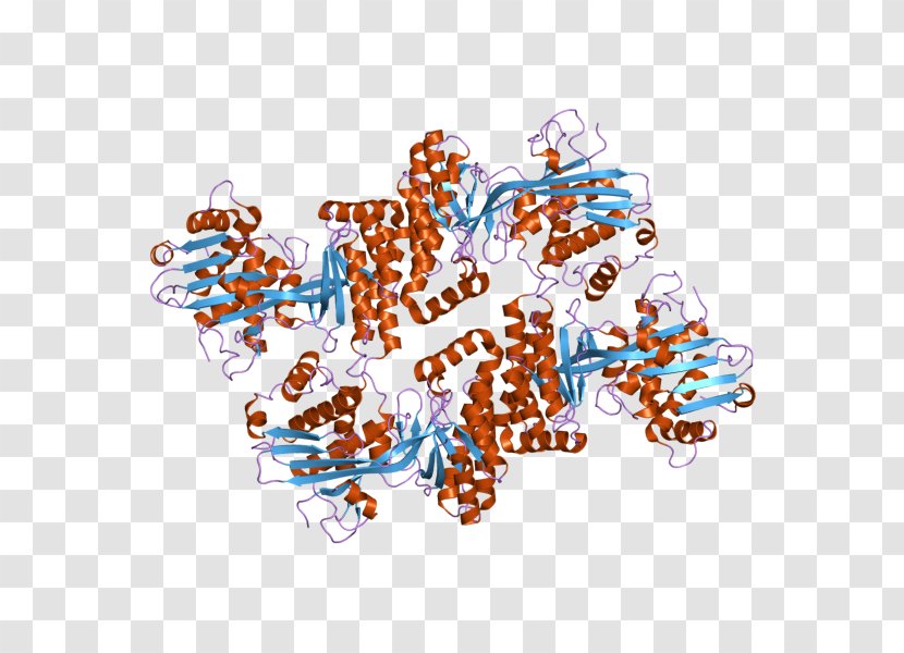 Mevalonate Kinase Pathway Mevalonic Acid Protein - Art - Structure Transparent PNG