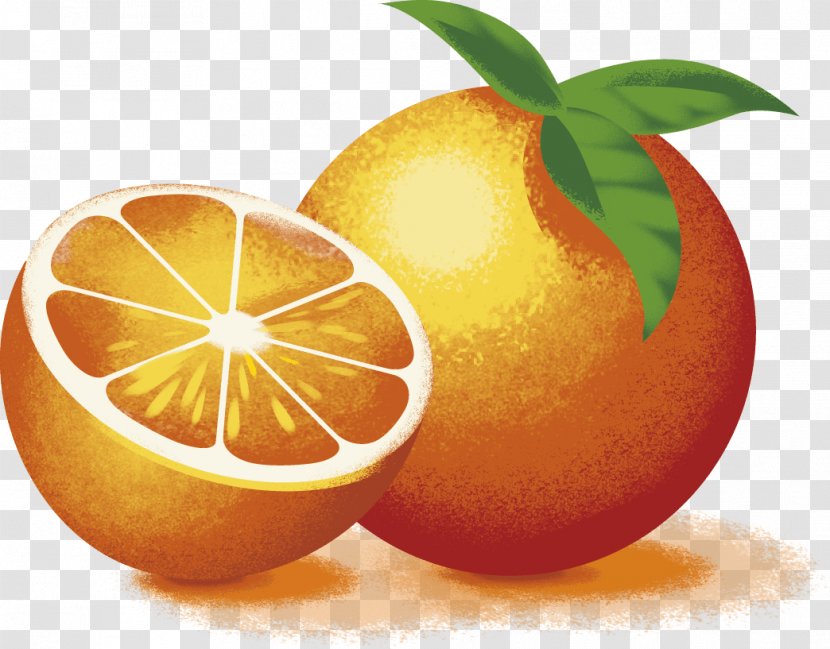 Clementine Lemon Grapefruit Tangelo Rangpur - Food Transparent PNG