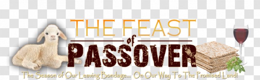 Passover Sacrifice Festival 0 - Brand Transparent PNG