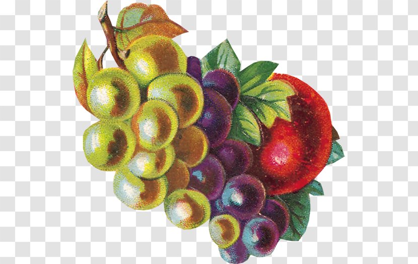 Cranberry Food Fruit Vegetarian Cuisine - Frutas Transparent PNG