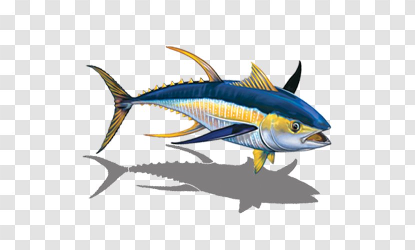 Swimming Cartoon - Milkfish - Scombridae Rayfinned Fish Transparent PNG