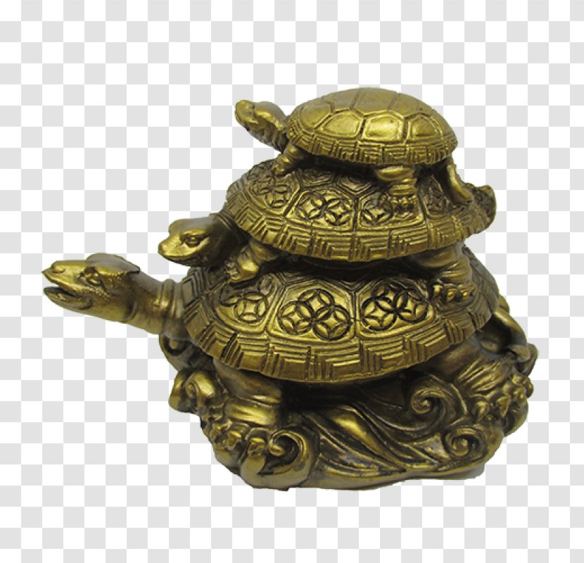 Box Turtle Tortoise Feng Shui Reptile - Vastu Shastra - Longevity Transparent PNG