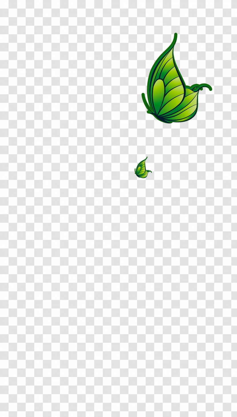 Butterfly Leaf Plant Stem Insect Clip Art - Artwork - Green Transparent PNG