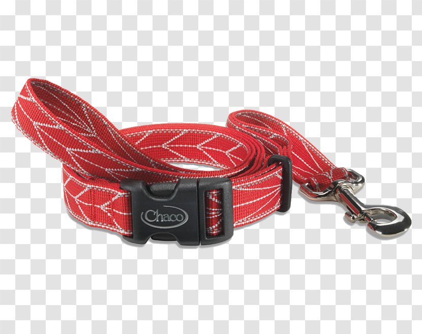 Leash Dog Collar Webbing - Rockford - Red Transparent PNG