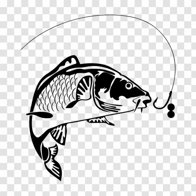 Koi Carp Fishing - Art - Fish Transparent PNG
