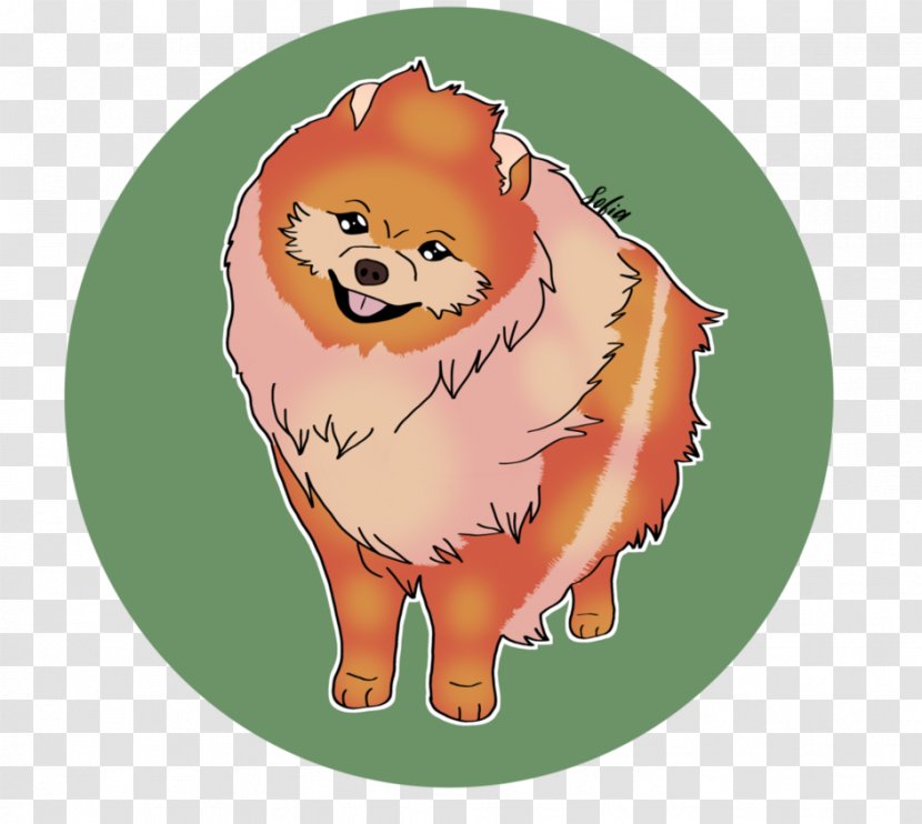 Pomeranian Cat Snout Cartoon Transparent PNG