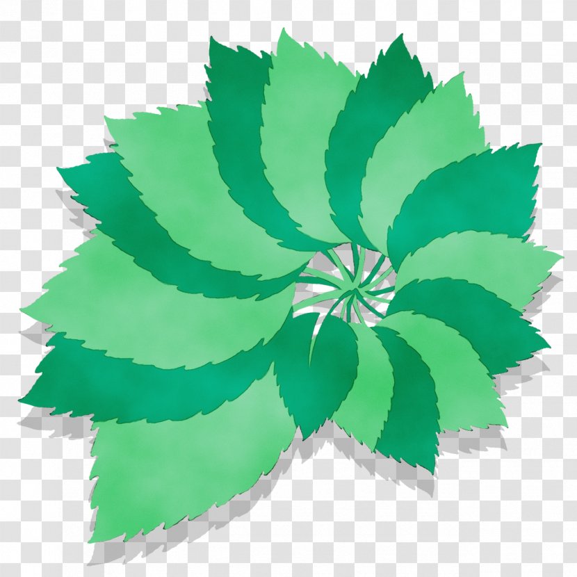 Green Leaf Watercolor - Paint - Herbaceous Plant Transparent PNG