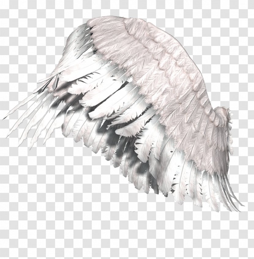 Gothic Fiction Angel Art Dream Photography - Museum - Wings Transparent PNG