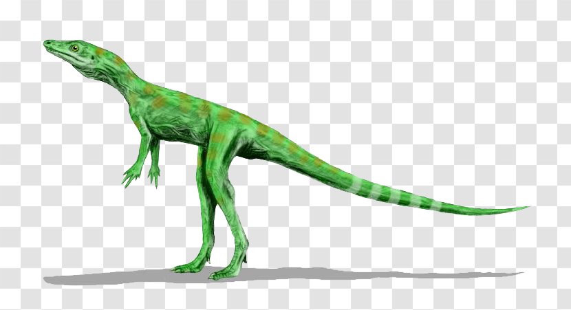Dromomeron Avipes Diapsid Dinosauromorpha - Velociraptor - Dinosaur Transparent PNG