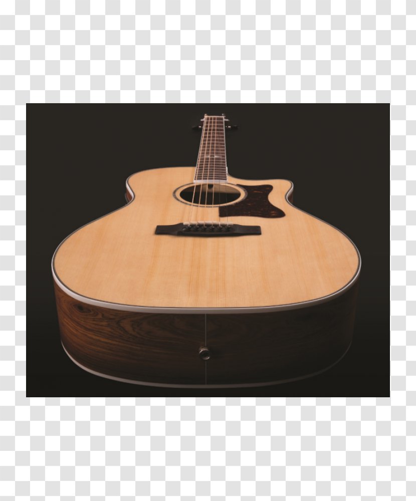 Acoustic Guitar Taylor 514CE Acoustic-Electric - Watercolor Transparent PNG