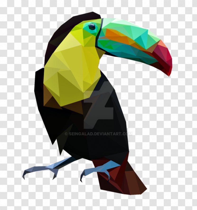 Bird Parrot Toucan Painting Art - Macaw Transparent PNG