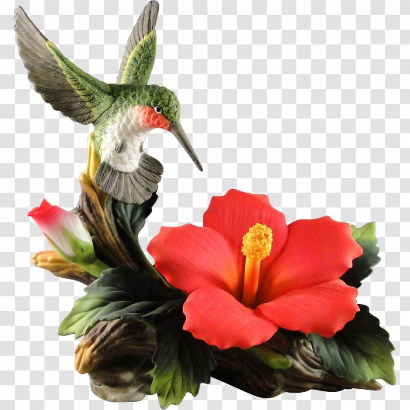 Rufous Hummingbird Hibiscus Beak - Bird - Flower Tropical Transparent PNG