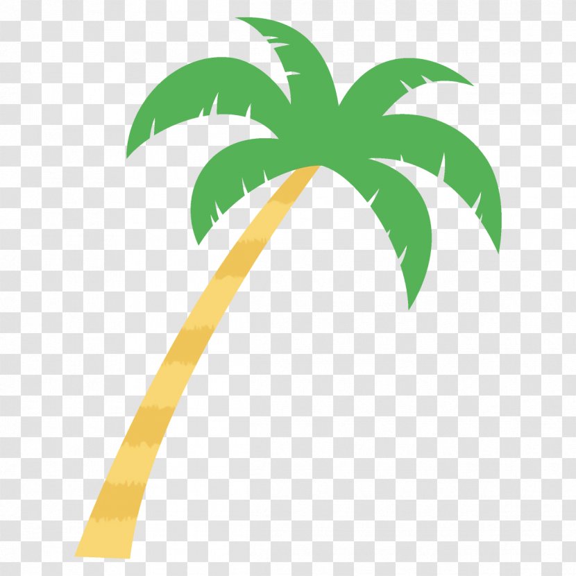 Palm Tree - Arecales - Woody Plant Transparent PNG