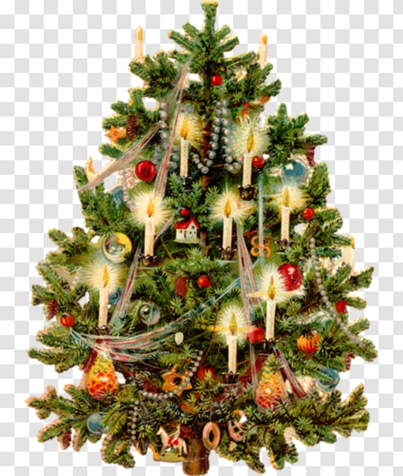 Christmas Tree Victorian Era Clip Art - Decoration Transparent PNG