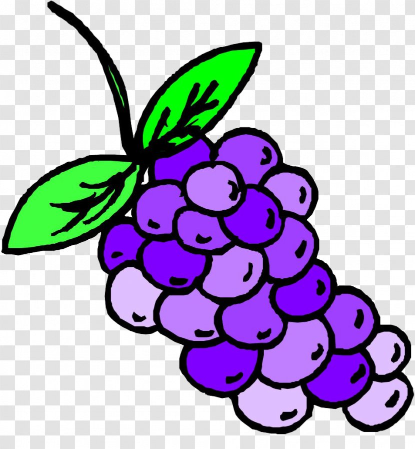 Grape Auglis Clip Art - Hand-painted Grapes Transparent PNG