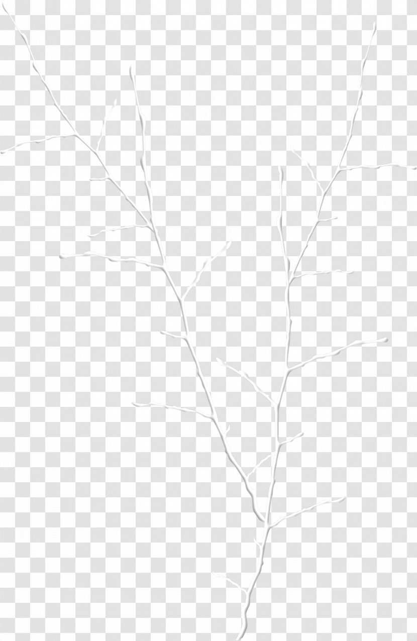 Twig White Drawing Line Art Sketch - Leaf Transparent PNG