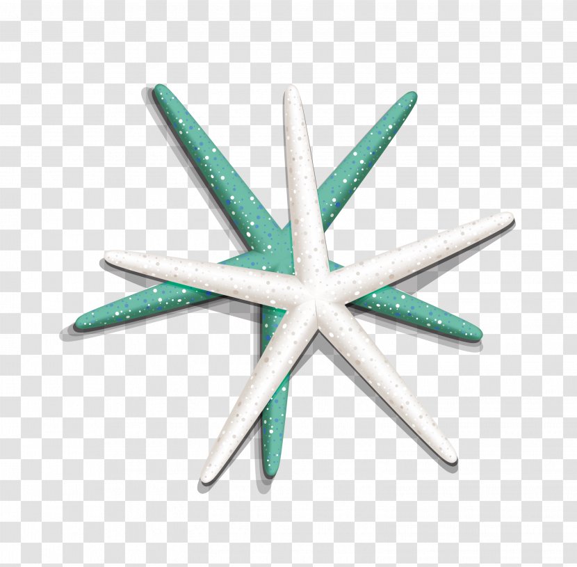 Starfish Clip Art - Marine Life - Pattern Transparent PNG
