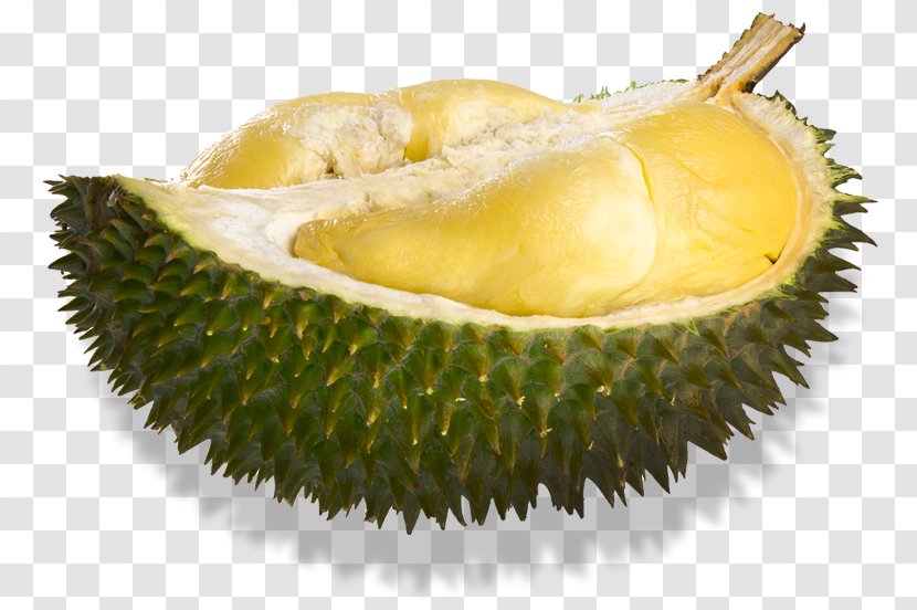 Durio Zibethinus Durian Papaya Fruit - Ingredient Transparent PNG