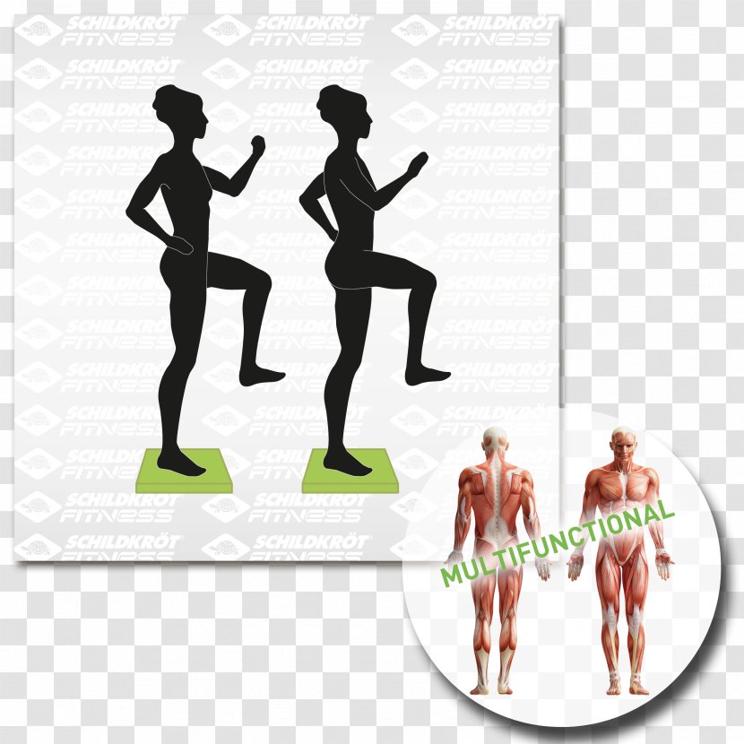 Physical Fitness Balance Board Pilates Weight Training Exercise Transparent PNG